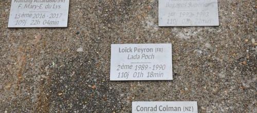 plaques