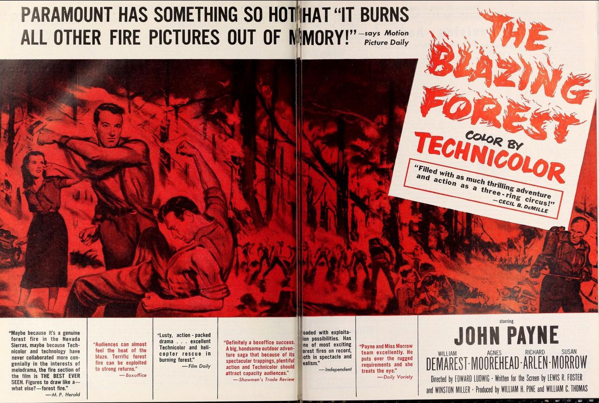 THE BLAZING FOREST BOX OFFICE USA 1952
