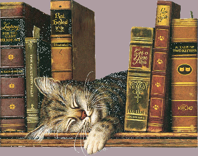 Allons à la bibliothèque