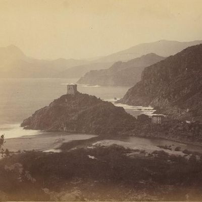 La forêt d'eucalyptus de la Marine de Porto.