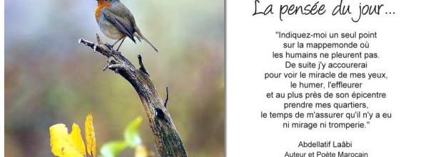 La pensée du jour (150)