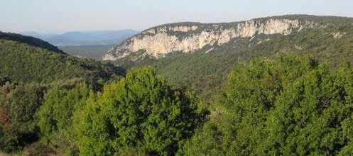 L'Aven Marzal (fin)