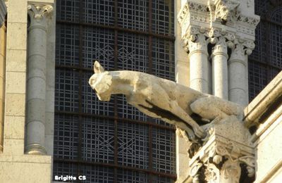 Les gargouilles du Sacré Coeur...