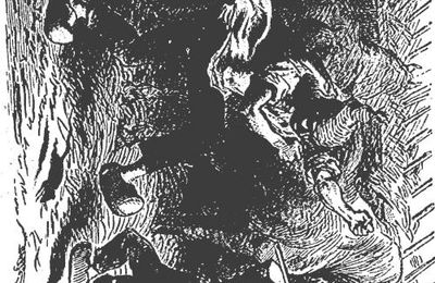 La chasse au rat - Kergomard 50 images expliquées 04