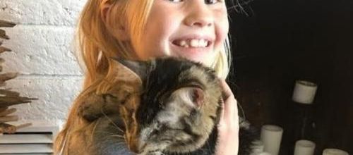 Une petite fille tombée sous le charme d'un chat aveugle