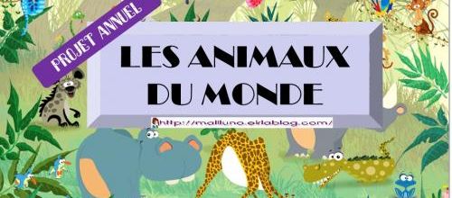 Les animaux des pôles