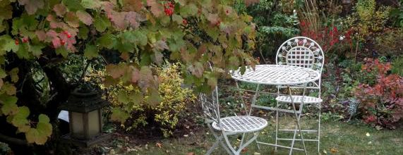 Couleurs d'automne