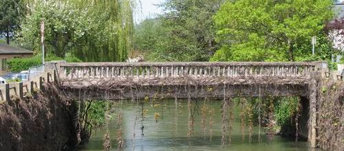 Pont l'eveque