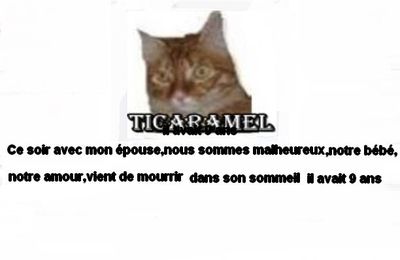 Dors dans les jardins , Petit Caramel