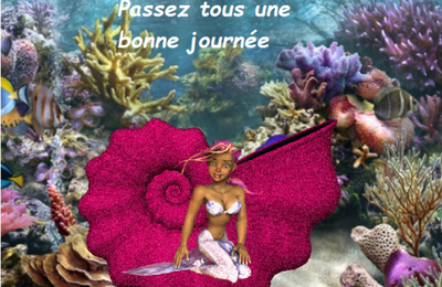 Petit coucou avant de démarrer la journée