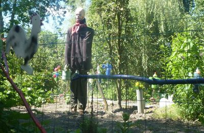 L'homme de "paille" ...