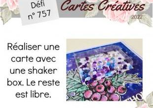 Passion Cartes Créatives#757 !
