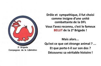 * Trésors d'archives : Le  BELUT ? une espèce rare et protectrice...