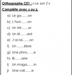 Orthographe CE1 : le son Z (s ou z) (1)