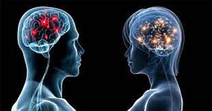 Différences de personnalité entre les femmes et les hommes.(2)