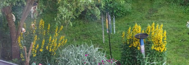 Coloriages, jardinage et crochet