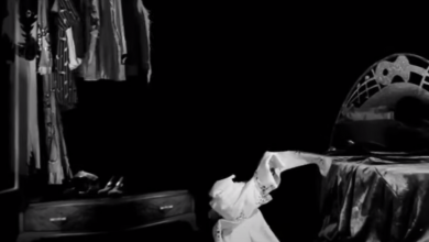 vous avez dit ELVIS -titre en rapport -autour de lui