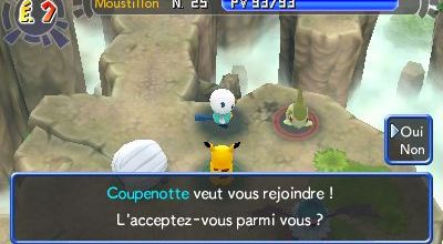 Roc Quenotte