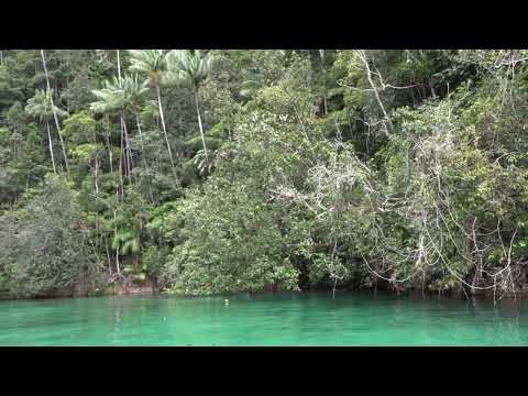28-09-22 après-midi : balade Zodiac dans le superbe dédale rocheux de Triton Bay - Papua Barat - Papouasie - Indonésie
