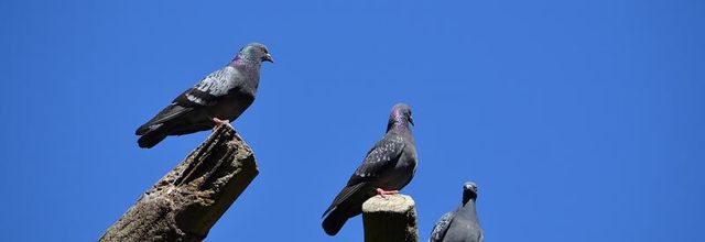 La photo du weekend : sous le ciel de Paris ... 