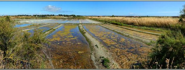 Marais salants et marais tout court ... - Loix - Ile de Ré - 17
