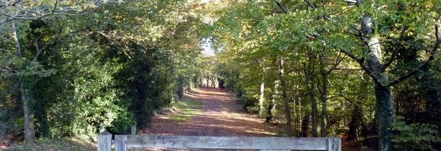Dans le rayon du confinement : le parc de la Desnerie
