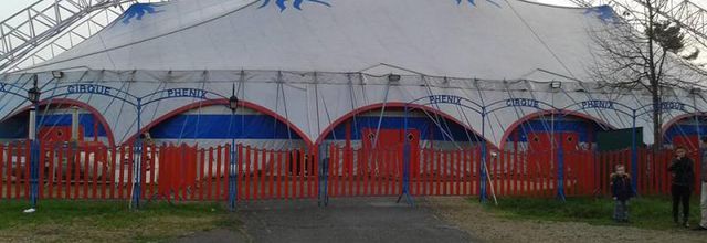 Le Phénix : Le plus grand chapiteau de cirque au monde
