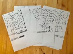 Un cerveau en 3D 