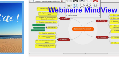 Webinaire de présentation du logiciel MindView AT (cartes mentales), vendredi 18 juillet 2025