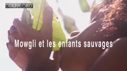 Mowgli et les enfants sauvages 