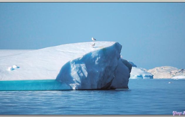 Observation d'icebergs, au loin, le long de la côte entre Kullorsuaq et Nuliarfik - Groenland