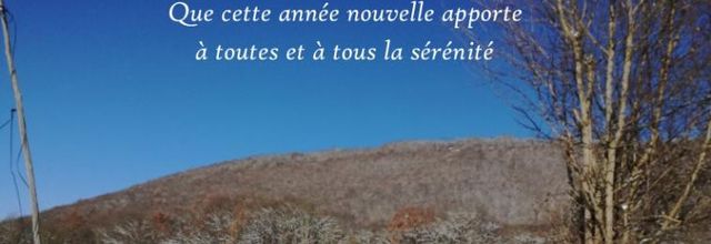 Voeux pour l'année nouvelle