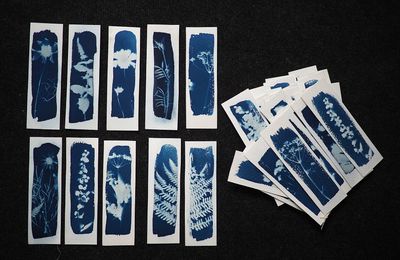 Marque-page en cyanotype 