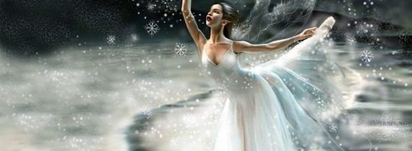 Mes noces de Papillon