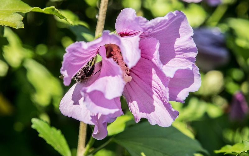 Il n'y a pas de chômeuses.