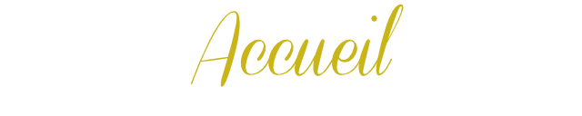 accueil 2015