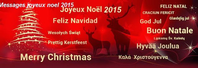  Le Groupe des Personnes Diabétiques de Bruxelles vous souhaite un joyeux Noël !
