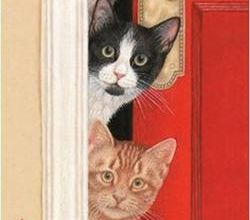 Chats en folie