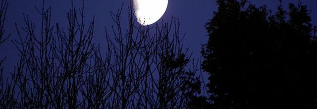 La menteuse...lune!