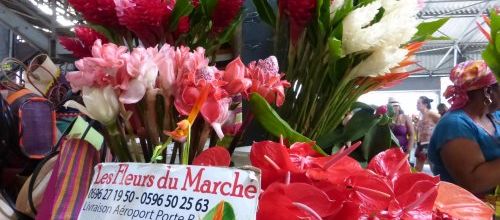 Voyage en Martinique 8 - les splendeurs de l'île