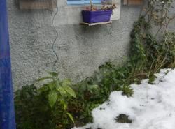 Un jour d'hiver