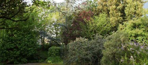 Le jardin de Disco