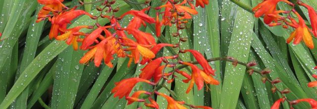 balade  à Bubry  (56)