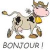 Cartonnettes "Vache ou Vachette"  2014