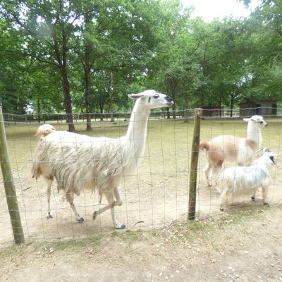 un peu sonner dans ma tete par les evenements des derniers jours mais il faut que je me reprenne quand meme