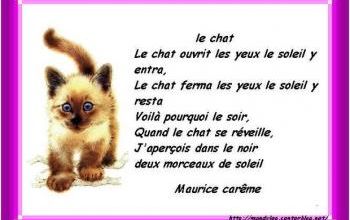 Animaux
