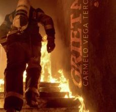 Descargar PDF GRIETAS