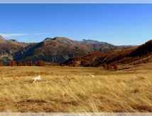 L'Automne au Col des Champs #2