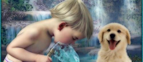  De la fraîcheur avec cette canicule...