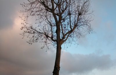 Rêveurs de grands chemins...
